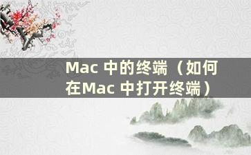 Mac 中的终端（如何在Mac 中打开终端）